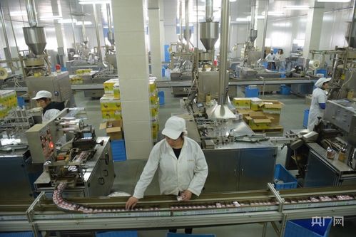 從茶葉到茶業 安徽績溪的茶山變金山之路與智能化安裝工程服務