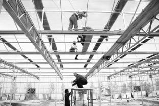 敦煌戈壁添新綠 最大智能化溫室開工建設，科技賦能現代農業新篇章