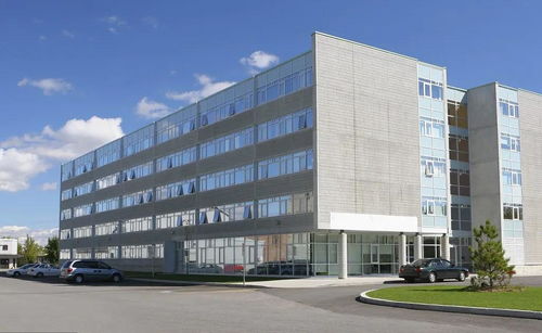 掛靠施工中，滿足特定條件即可直接向發(fā)包人主張工程款